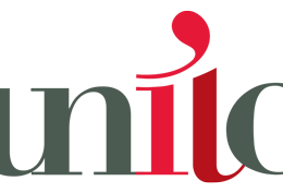 Logo UNIIC